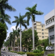 Office of Student Affairs