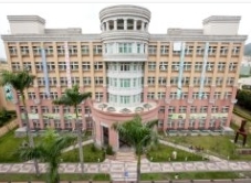 President／Vice President／Secretariat Office